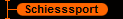 Schiesssport